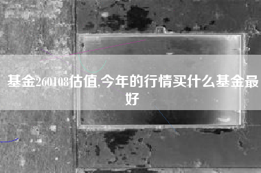 基金260108估值,今年的行情买什么基金最好
