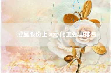 澄星股份上30元,化工强国排名