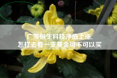 广发恒生科技净值上涨,
怎样去看一支基金可不可以买