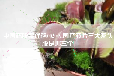 中国芯股票代码002049,国产芯片三大龙头股是哪三个