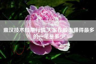 鼎汉技术股票行情,大家在股市赚得最多的一笔是多少
