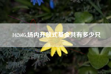162605,场内开放式基金共有多少只