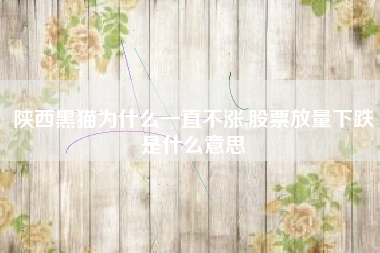 陕西黑猫为什么一直不涨,股票放量下跌是什么意思
