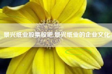景兴纸业股票股吧,景兴纸业的企业文化