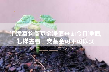 汇添富均衡基金净值查询今日净值,
怎样去看一支基金可不可以买