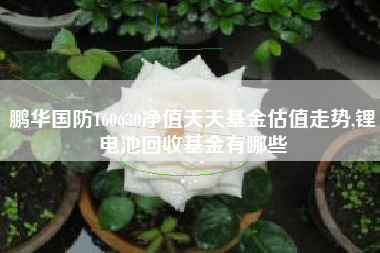 鹏华国防160630净值天天基金估值走势,锂电池回收基金有哪些