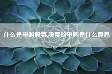 什么是申购股票,股票的申购是什么意思