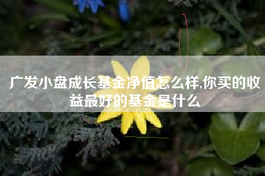 广发小盘成长基金净值怎么样,你买的收益最好的基金是什么