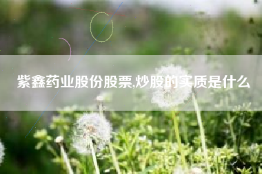 紫鑫药业股份股票,炒股的实质是什么