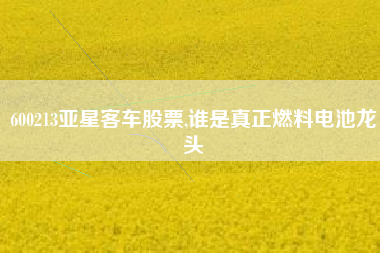 600213亚星客车股票,谁是真正燃料电池龙头