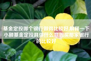 基金定投哪个银行做得比较好,解释一下小额基金定投具体什么意思买那家银行的比较好
