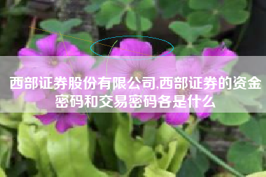西部证券股份有限公司,西部证券的资金密码和交易密码各是什么