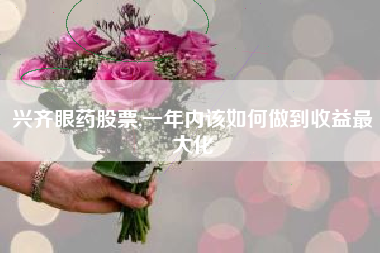 兴齐眼药股票,一年内该如何做到收益最大化