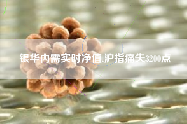 银华内需实时净值,沪指痛失3200点