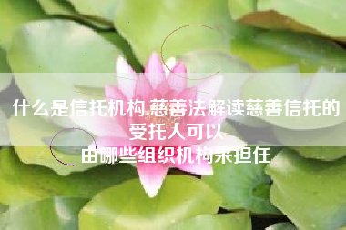 什么是信托机构,慈善法解读慈善信托的受托人可以
由哪些组织机构来担任 什么是信托机构,慈善法解读慈善信托的受托人可以
由哪些组织机构来担任