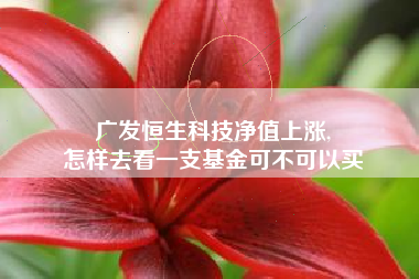 广发恒生科技净值上涨,
怎样去看一支基金可不可以买