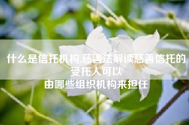 什么是信托机构,慈善法解读慈善信托的受托人可以
由哪些组织机构来担任 什么是信托机构,慈善法解读慈善信托的受托人可以
由哪些组织机构来担任