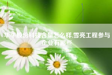 华平股份科技含量怎么样,雪亮工程参与企业有哪些