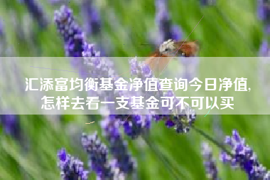 汇添富均衡基金净值查询今日净值,
怎样去看一支基金可不可以买