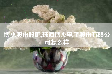 博杰股份股吧,珠海博杰电子股份有限公司怎么样