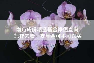 南方成份精选基金净值查询,
怎样去看一支基金可不可以买