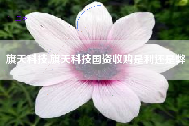 旗天科技,旗天科技国资收购是利还是弊