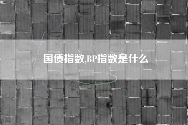 国债指数,BP指数是什么