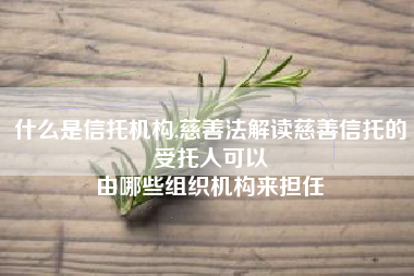 什么是信托机构,慈善法解读慈善信托的受托人可以
由哪些组织机构来担任 什么是信托机构,慈善法解读慈善信托的受托人可以
由哪些组织机构来担任