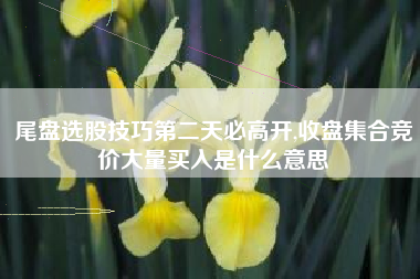 尾盘选股技巧第二天必高开,收盘集合竞价大量买入是什么意思