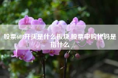 股票603开头是什么板块,股票申购代码是指什么