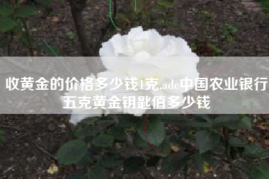 收黄金的价格多少钱1克,adc中国农业银行五克黄金钥匙值多少钱
