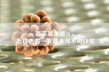 嘉实基本面50 a,
怎样去看一支基金可不可以买