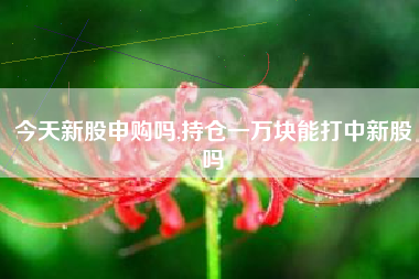 今天新股申购吗,持仓一万块能打中新股吗