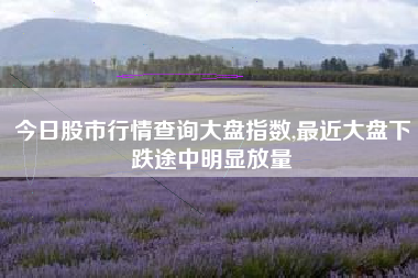 今日股市行情查询大盘指数,最近大盘下跌途中明显放量