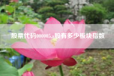 股票代码000005,a股有多少板块指数