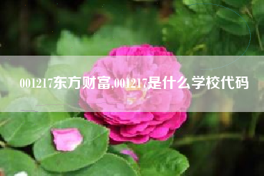 001217东方财富,001217是什么学校代码
