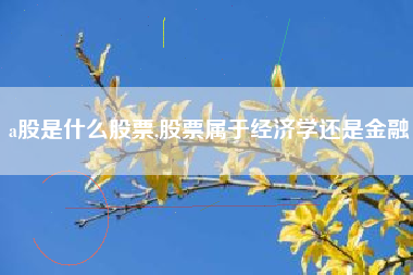 a股是什么股票,股票属于经济学还是金融