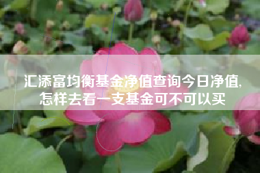 汇添富均衡基金净值查询今日净值,
怎样去看一支基金可不可以买