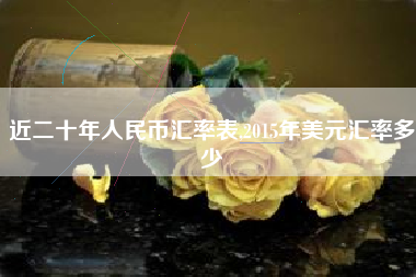 近二十年人民币汇率表,2015年美元汇率多少