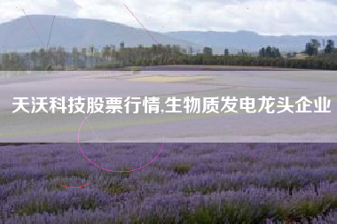 天沃科技股票行情,生物质发电龙头企业