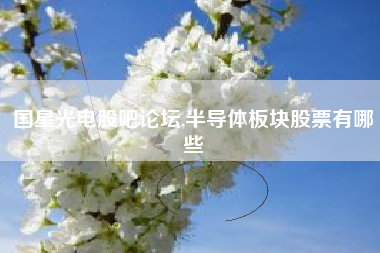 国星光电股吧论坛,半导体板块股票有哪些