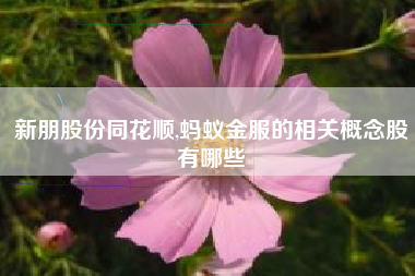 新朋股份同花顺,蚂蚁金服的相关概念股有哪些