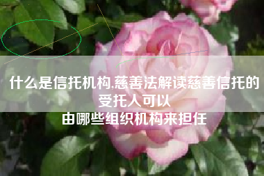 什么是信托机构,慈善法解读慈善信托的受托人可以
由哪些组织机构来担任 什么是信托机构,慈善法解读慈善信托的受托人可以
由哪些组织机构来担任