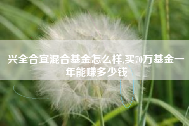兴全合宜混合基金怎么样,买70万基金一年能赚多少钱