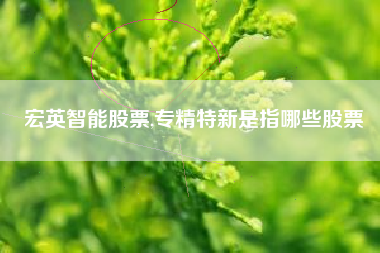 宏英智能股票,专精特新是指哪些股票