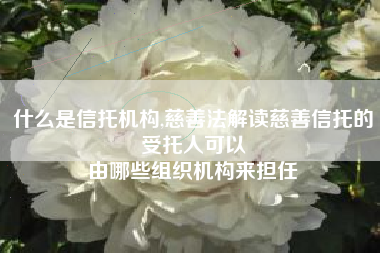 什么是信托机构,慈善法解读慈善信托的受托人可以
由哪些组织机构来担任 什么是信托机构,慈善法解读慈善信托的受托人可以
由哪些组织机构来担任