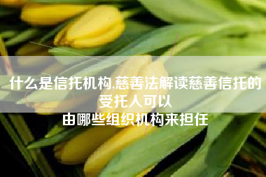 什么是信托机构,慈善法解读慈善信托的受托人可以
由哪些组织机构来担任 什么是信托机构,慈善法解读慈善信托的受托人可以
由哪些组织机构来担任