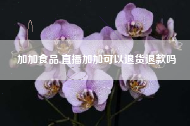 加加食品,直播加加可以退货退款吗