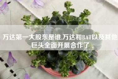 万达第一大股东是谁,万达和BAT以及其他巨头全面开展合作了