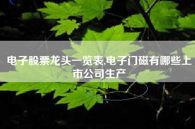电子股票龙头一览表,电子门磁有哪些上市公司生产